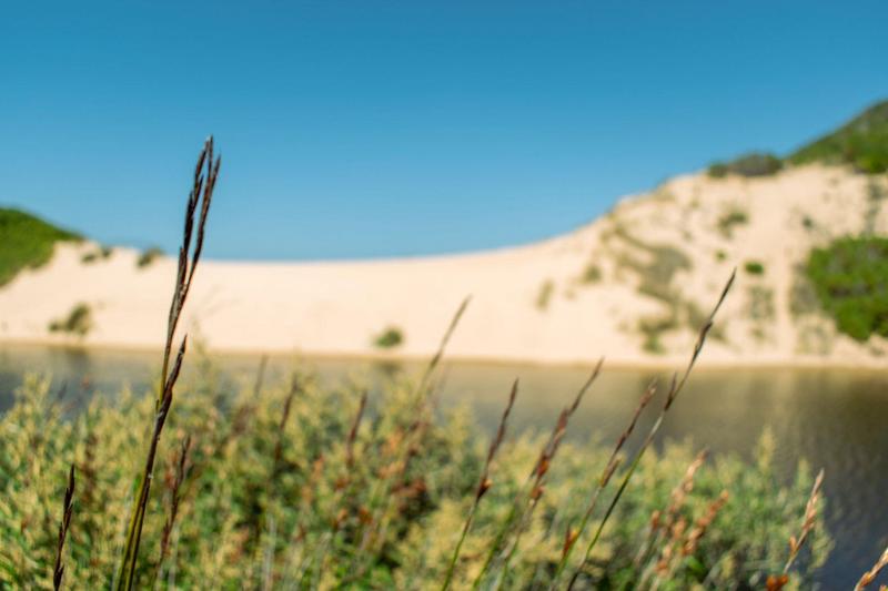 0 Bedroom Property for Sale in Moquini Western Cape